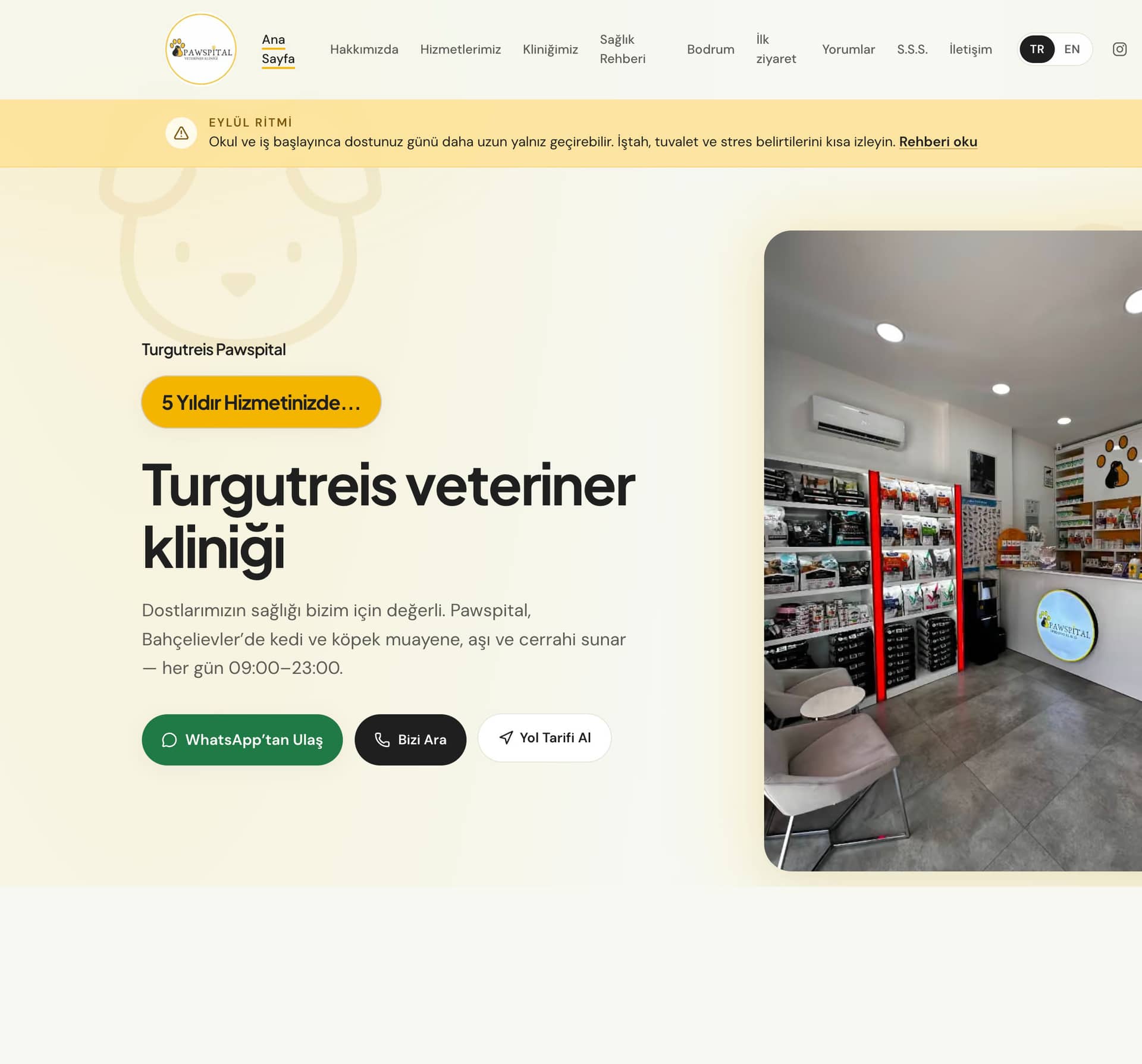 Pawspital Veteriner Kliniği web sitesi — masaüstü ve mobil görünüm